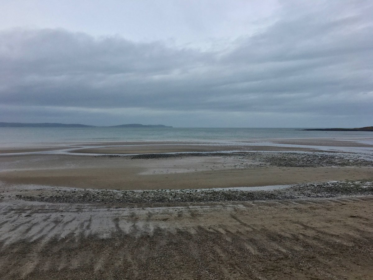 Litter pick at Ballyholme Beach yesterday. Mainly small stuff. 1/2 bag - 211 items/pieces inc. 26 sweet wrappers, 14 bits of 'dog' balls, 11 cotton bud sticks, 8 bottle rings, 5 bottle caps, 5 cigarette butts, 4 straws, 2 bottles, & 1 toy soldier. #StopThePlasticTide