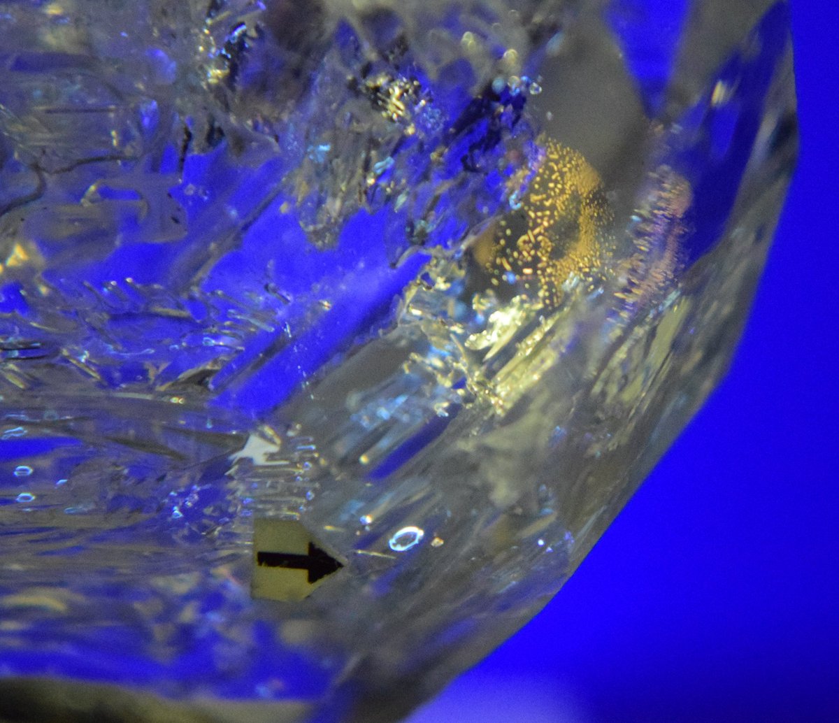 NineBall1123's tweet photo. ハーキマーダイアモンド オイル入り
Herkimer Diamond
#水晶
#HerkimerDiamond
#鉱物 https://t.co/giev9niJxs
