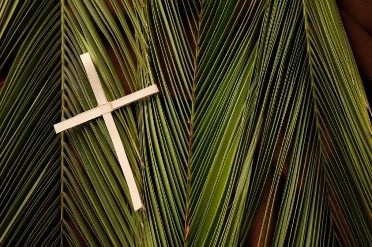 Trinity_HOPE3's tweet photo. "They took branches of palm trees and went forth to meet him, and cried, Hosanna! Blessed is he who comes in the name of the Lord!" John 12:13 https://t.co/wGpxIDSYPt