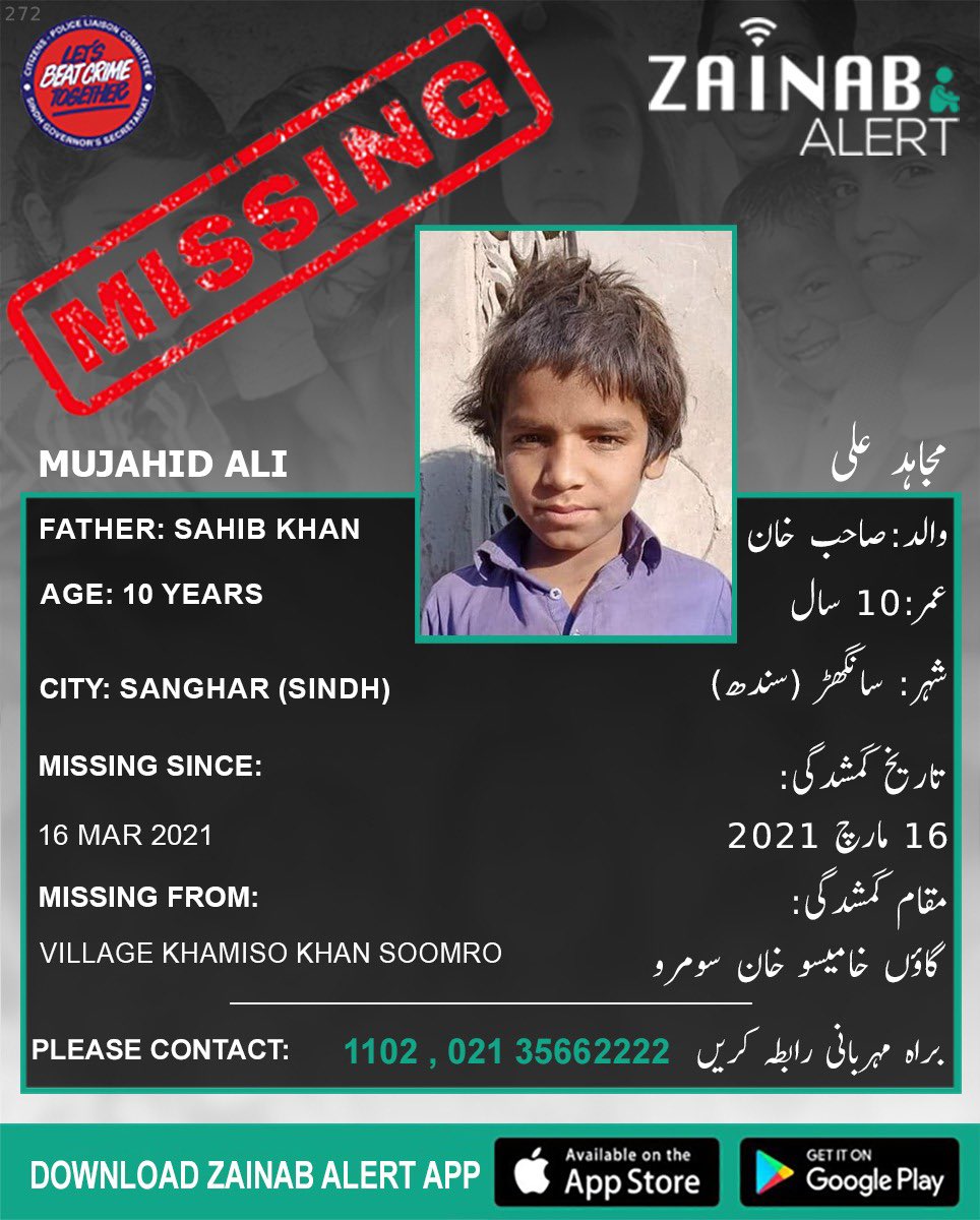 ZainabAlert tweet media