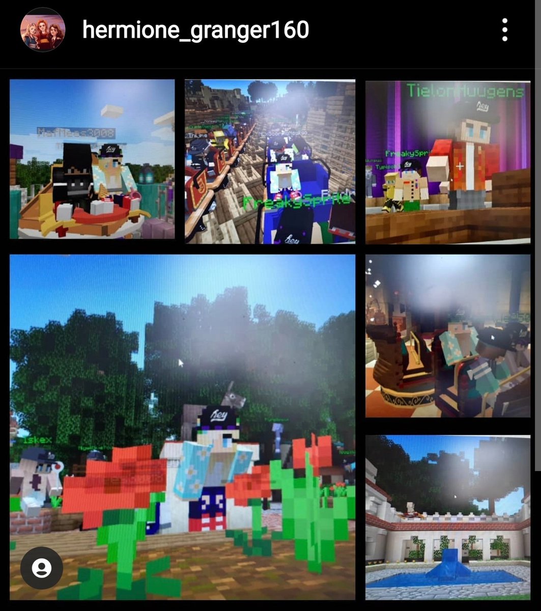HaegensDiscord's tweet photo. Iedereen die er vandaag bij was bedankt! Hermione is de winnaar van de social media giveaway! 

#DHGxSprookjescraftII https://t.co/2xphwFwhk0