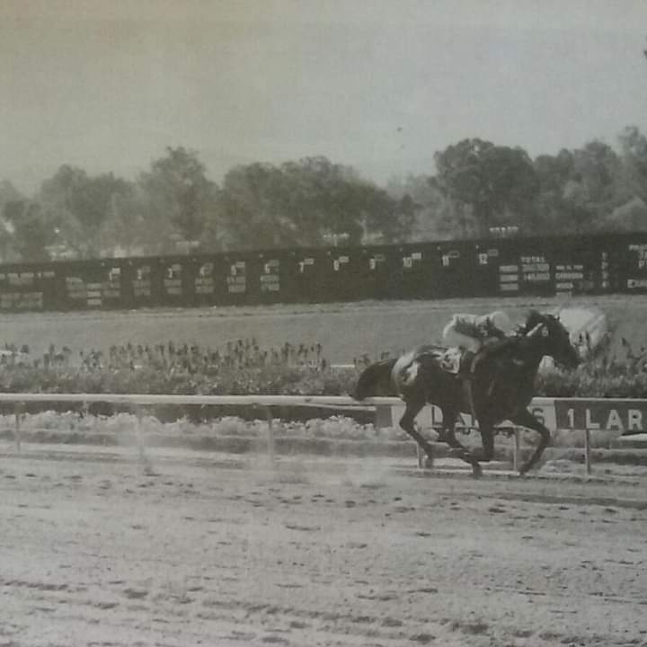 HORSERACING1002's tweet photo. FOR THE GROUP
#ForTheGroup https://t.co/vTcosrXhCB