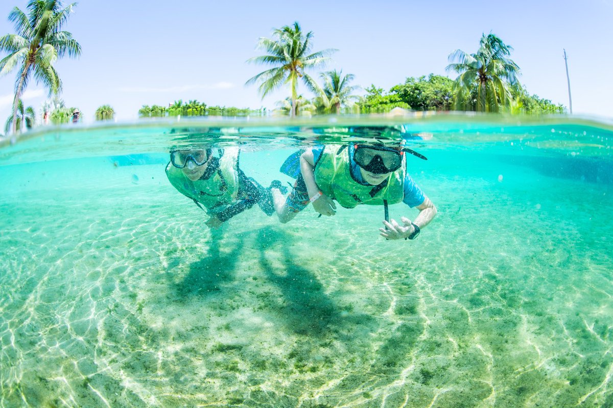 CaymanTurtle's tweet photo. Enjoy a full day of fun and adventure over the Easter Holidays with our extended opening hours! From Tuesday 6 April - Friday 9 April we’ll be open each weekday from 8am - 5pm. Plan your adventure today at https://t.co/laJBMZGVvj! 

#CaymanIslands #ExploreCayman https://t.co/ZgjQNiSjWD