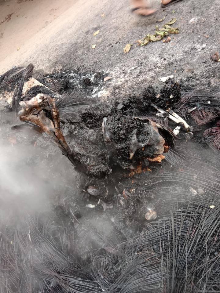 KimSeokJue's tweet photo. The Father of four children was shot in the leg, thrown into fire, and left to be burnt alive by Military junta terrorists last night. Happened last night in Mandalay. 
JUNTA MASSACRE
#Mar28Coup
#WhatsHappeningInMyanmar https://t.co/pjmjuRltKE
