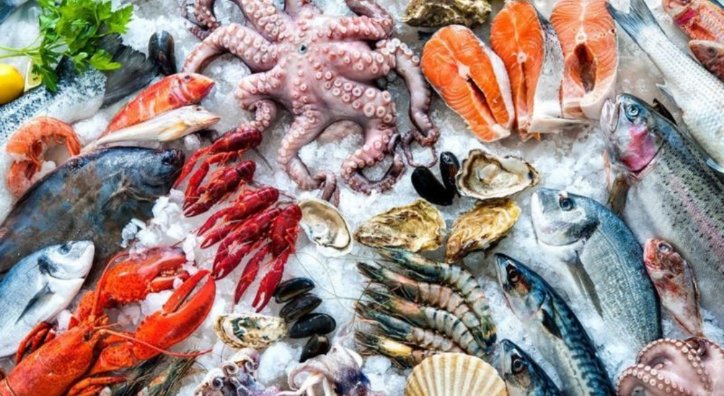 luccarossi's tweet photo. Busco animais para adoção. Pode ser camarão, peixe, bacalhau e salmão. 
Mas tem que ser logo pois quero passar a semana santa com eles. É muito AMOR envolvido.  
Rsrsrrsrs https://t.co/f8S4ucSy0Q
