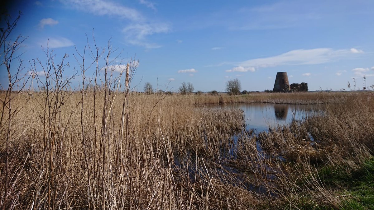 NorfArchTrust's tweet photo. Our #NATpics this week are of St. Benet's Abbey, lit up by the spring sunshine and sent in by a local visitor. We love that so much of this site still stands, perfect for exploring!
📸If you visit one of our sites, send us a picture for next week
#archaeology #NATexploring https://t.co/kLjwfICm4L