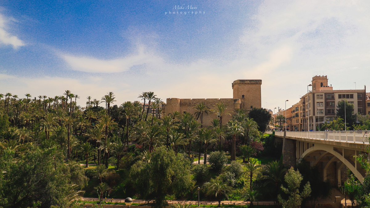 MikeFotoLife's tweet photo. Elche!!, que bonita eres!! 😍

Días mágicos imposible no fotografiar.

Canon 6DMark ii + Canon 24-105mm

#elche #elx #elchesolypalmeras #comparteelche #fotosdelx #igerselche #comunitatvalenciana  #rinconesdeelche #elchequebonitaeres #fotosdeelche @visitelche @comparteelche https://t.co/STn8Cdd9EO