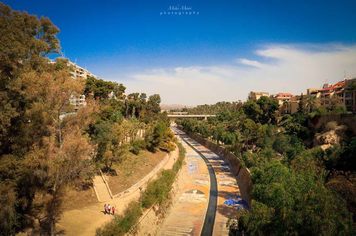MikeFotoLife's tweet photo. Elche!!, que bonita eres!! 😍

Días mágicos imposible no fotografiar.

Canon 6DMark ii + Canon 24-105mm

#elche #elx #elchesolypalmeras #comparteelche #fotosdelx #igerselche #comunitatvalenciana  #rinconesdeelche #elchequebonitaeres #fotosdeelche @visitelche @comparteelche https://t.co/STn8Cdd9EO