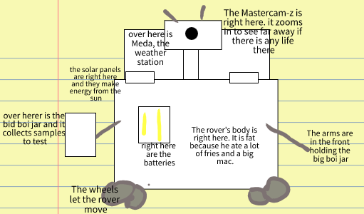 Sandy Coleman tweet media
