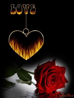 MHAMOOD OLIAN (@mhamoodolian) on Twitter photo 