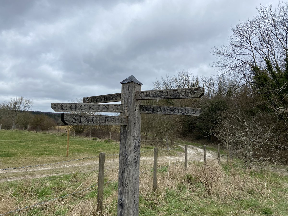 glencroft's tweet photo. Beautiful 10m walk over the South Downs.

...and I found ‘someone’ who has seen 2021 as a bigger downer than i have so far! 😂🤷🏼‍♂️ 
#AllRelative https://t.co/SGr8Q79sg1