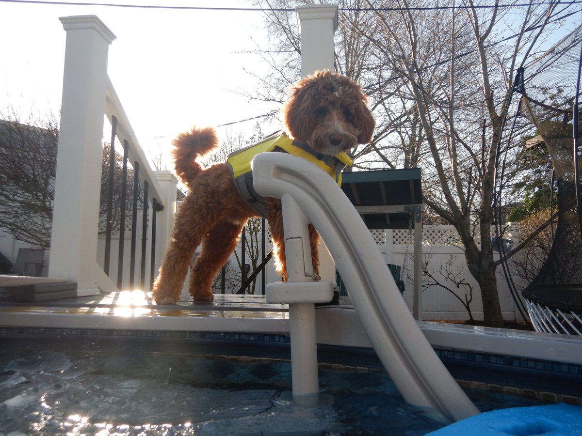 Sheila Carberry tweet media