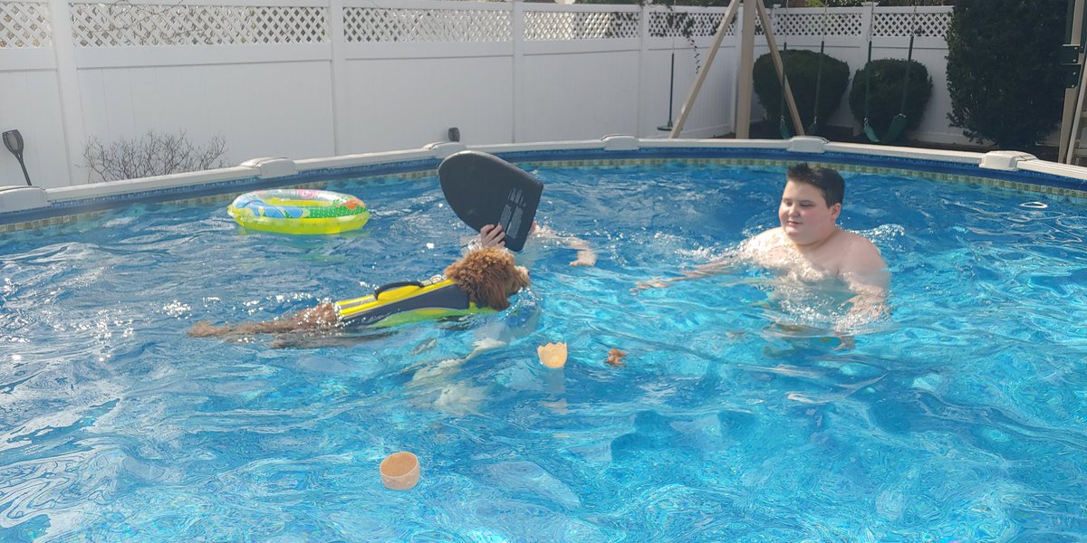 Sheila Carberry tweet media