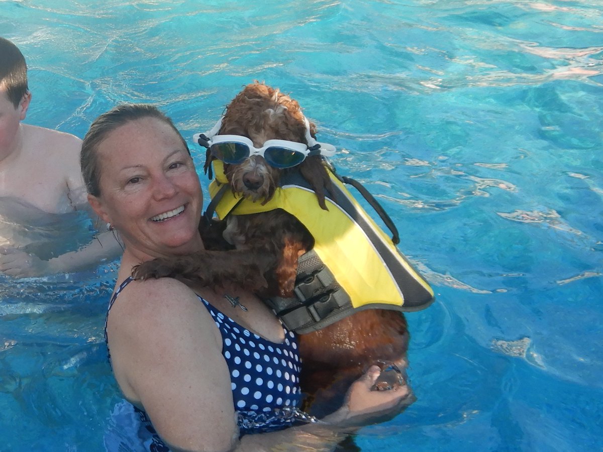 Sheila Carberry tweet media