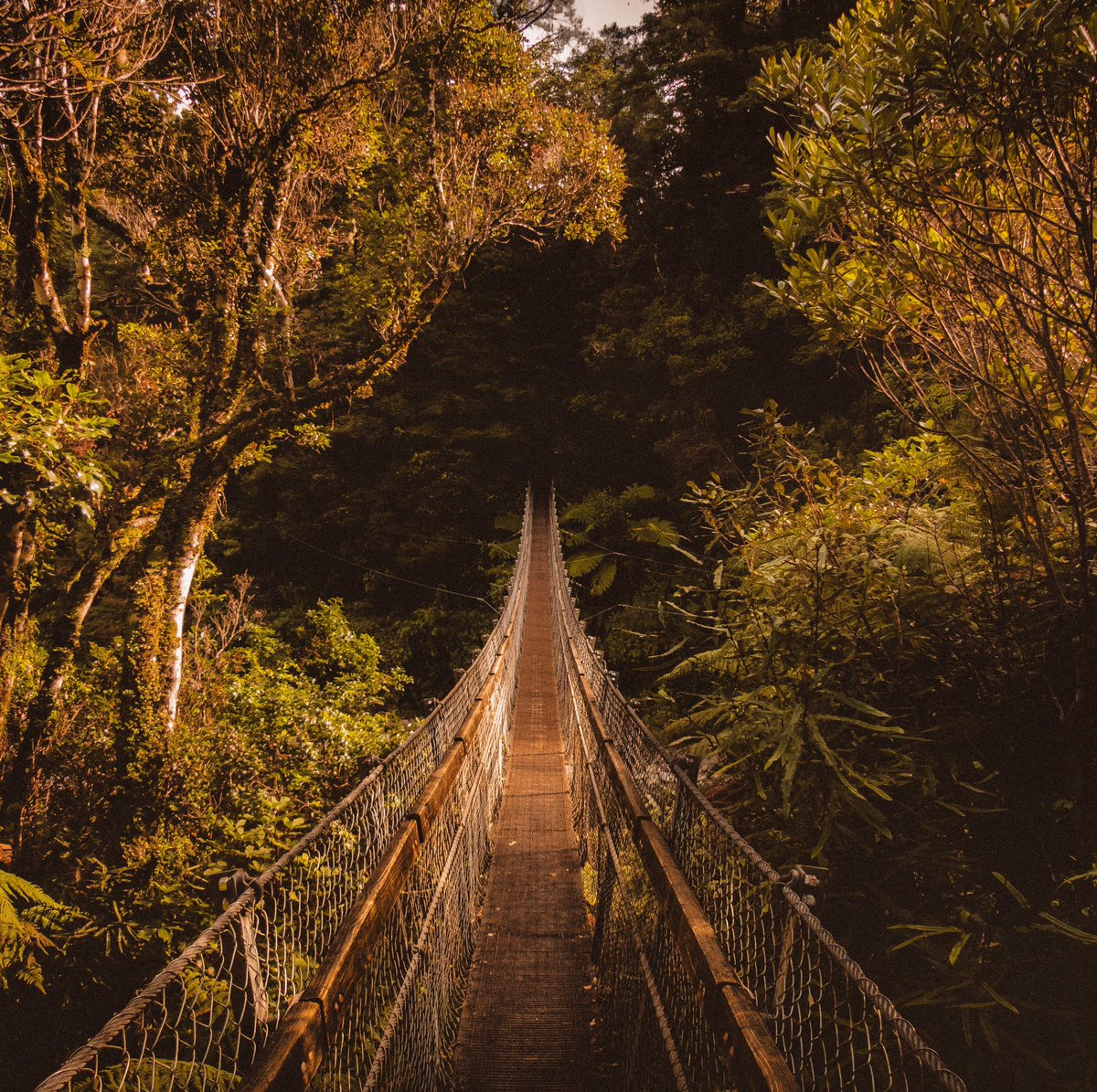 TLWCexperience's tweet photo. We’re going on an #adventure🌉🌳🍂Where are you off to?😀
#nature #outdoors #optoutside #travelingram #travel_captures #travelbug #travelgoals #traveldiaries #wellington #forest #wellington #newzealand #travel #beautifuldestinations #travelgoals #traveldreams #bucketlist https://t.co/o9DjOnjC5o