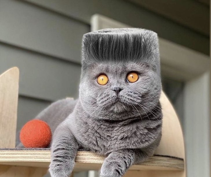 paul_palmer's tweet photo. Not long to go now who’s for a hair cut #pjphair #clitheore #hair https://t.co/f0MPTQ7VHF