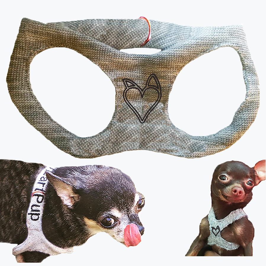 HeartPup's tweet photo. 😻 65% off MEMORY FOAM & POLYESTER padded strap slings in any color 😎 (w/free pet harness) - https://t.co/NKWI6WSRQL #ergonomic #dogsling #dogcarrier #dogs #paddedshoulder #heartpup #asseenonsharktank #sale #dogharness https://t.co/LiusfqCBMp