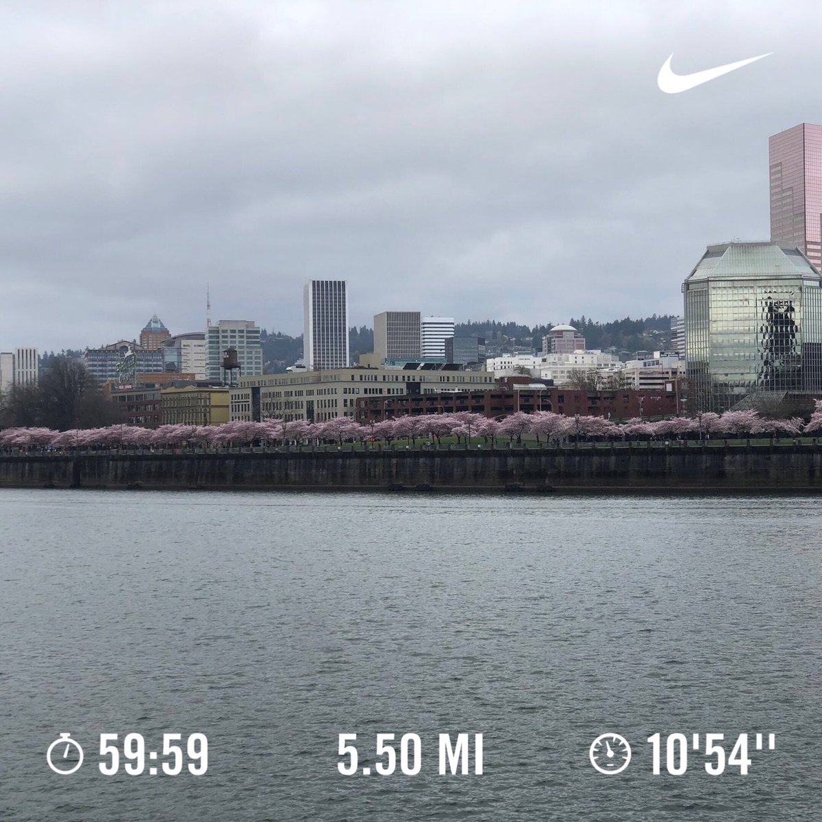 djshortchange's tweet image. Cherry Blossoms run #teamsloth #paintrain