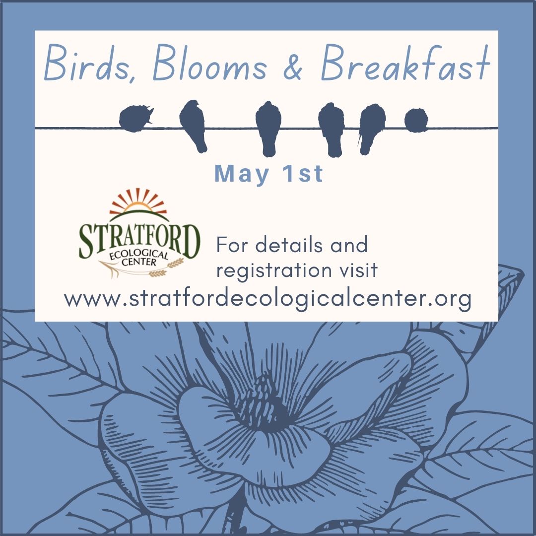 StratfordEco's tweet photo. We are looking forward to spring birds &amp; blooms at Stratford! Find details &amp; registration for this program at https://t.co/JRcSbmgI8M https://t.co/jtqXa6ud7a
