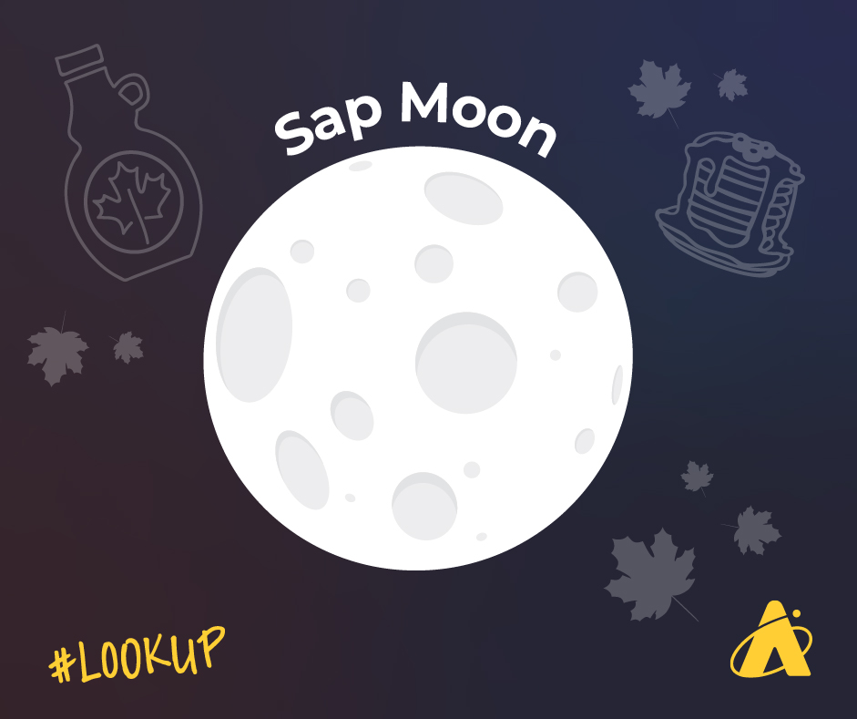 AdlerPlanet's tweet photo. 🥞🍁 The March #FullMoon is known as the #SapMoon, #WormMoon or #CrowMoon and rises tonight (3/28) around sunset! 🌕 You might even catch Moonhenge—which is when the #Moon appears directly between buildings—if you face east on a due east-west street near the time it rises! 🌃 https://t.co/PGSPSdvWKl