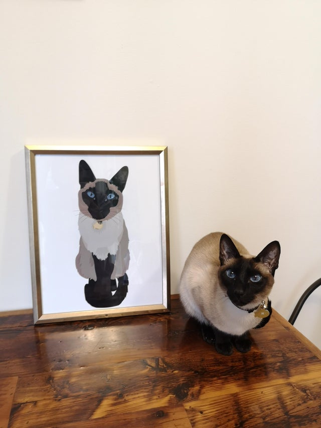 Siamesecat_Mom's tweet photo. Thought r/siamesecats would enjoy seeing this! My friend made this portrait of my gal :) it turned out SO good 😍
#siamesecat #siamese #cats #cat #of #love #catlife #catlover #siamesecats #catlovers #kittens #kitten 
#siamesekitten #meow #siameseworld #catoftheday #world #kitty https://t.co/fDQ15HeLbu