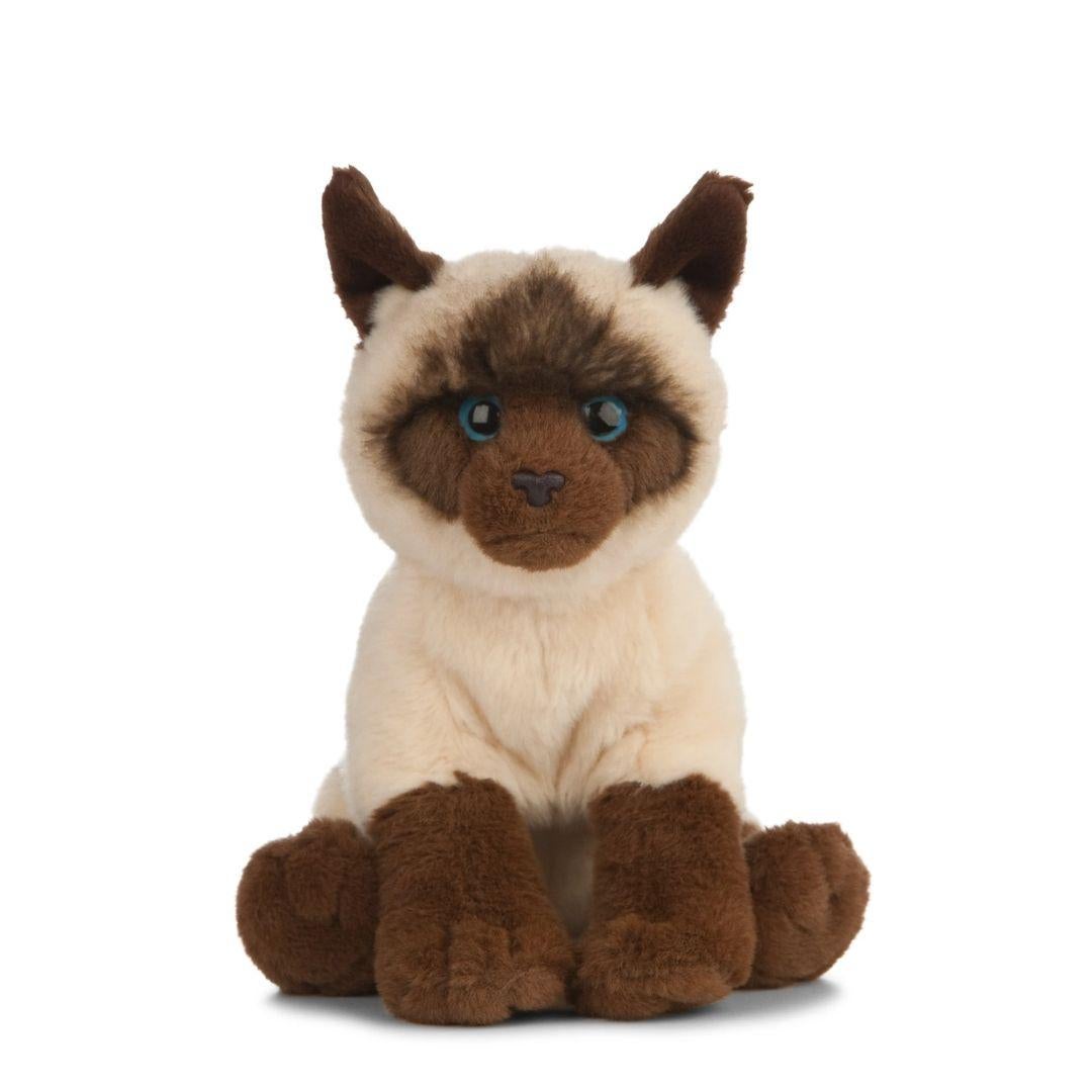 Siamesecat_Mom's tweet photo. ❤️❤️ Living Nature Siamese Cat 🐱 PLUSH Visit https://t.co/5eV3ZHNEyp for more CUDDLY toys 🧸 ❤️😁 #siamesecat #siamese #cats #cat #of #love #catlife #catlover #siamesecats #catlovers #kittens #kitten #siamesekitten #meow #siameseworld #catoftheday #world #kitty #feature #blueyes https://t.co/h9fz1VqQDr