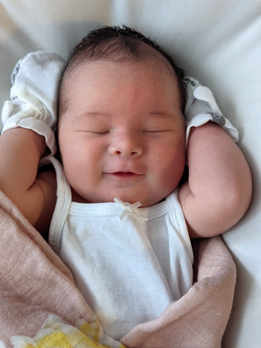 Dylan Holden (Open to Freelance) tweet media