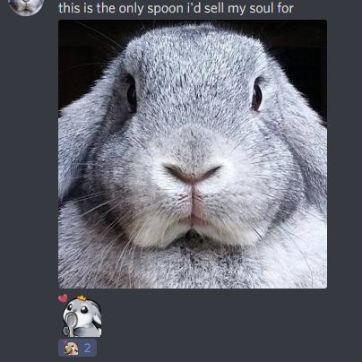Bunnseption happening on the discord