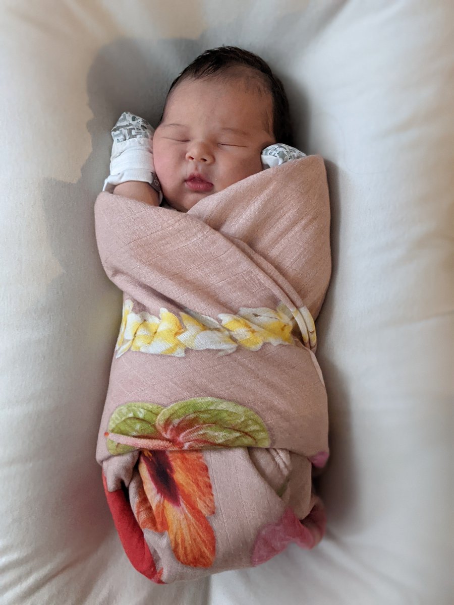 Dylan Holden (Open to Freelance) tweet media