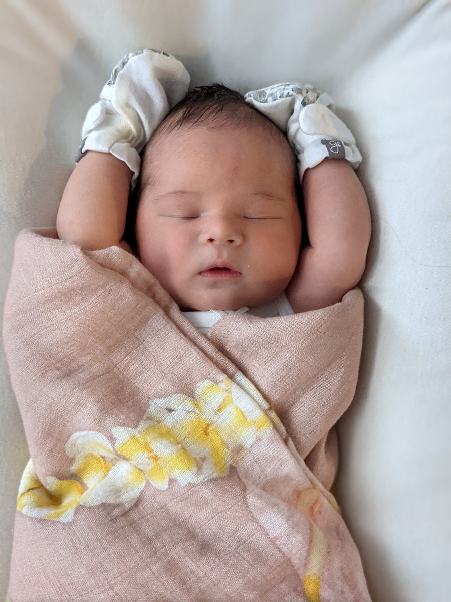 Dylan Holden (Open to Freelance) tweet media