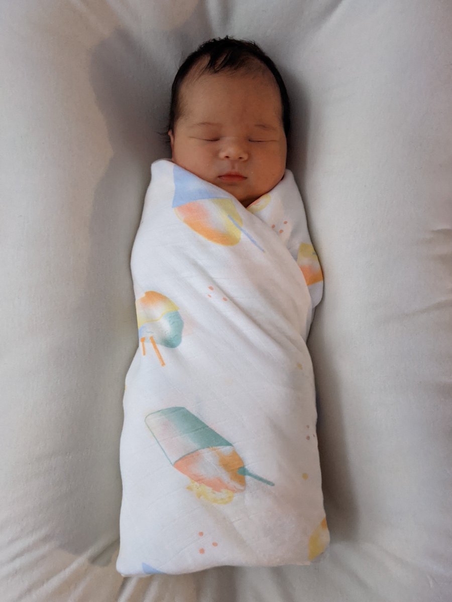 Dylan Holden (Open to Freelance) tweet media