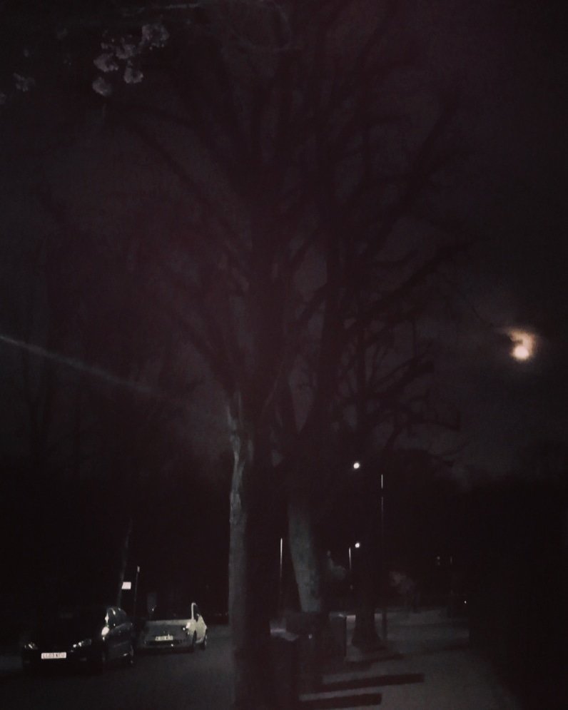 aidanrad's tweet photo. Identifying aplenty with this evening's/this month's (just-about-glimpsed) full moon, one of whose names is the #SapMoon... https://t.co/HDLCQBq8xZ https://t.co/oW84bRIvXV
