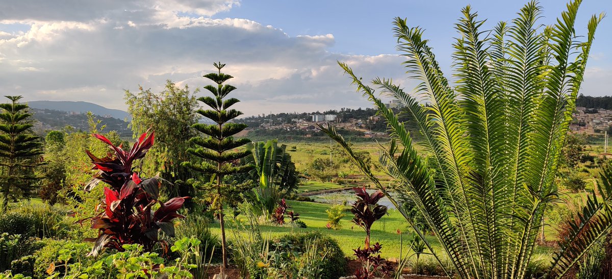jgmoore's tweet photo. #Kigali, #Rwanda has a new park since my last visit. #Gikondo was an industrial area located in a sensitive wetland. As a part of @CityofKigali's planning work, industries in Gikondo were relocated in order to create the new public park and promote urban ecological restoration. https://t.co/ImKDL33quT