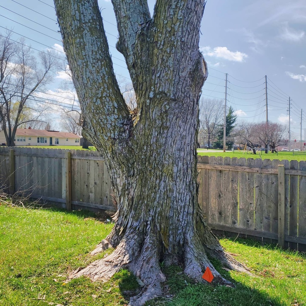 Jimmy Hester tweet media