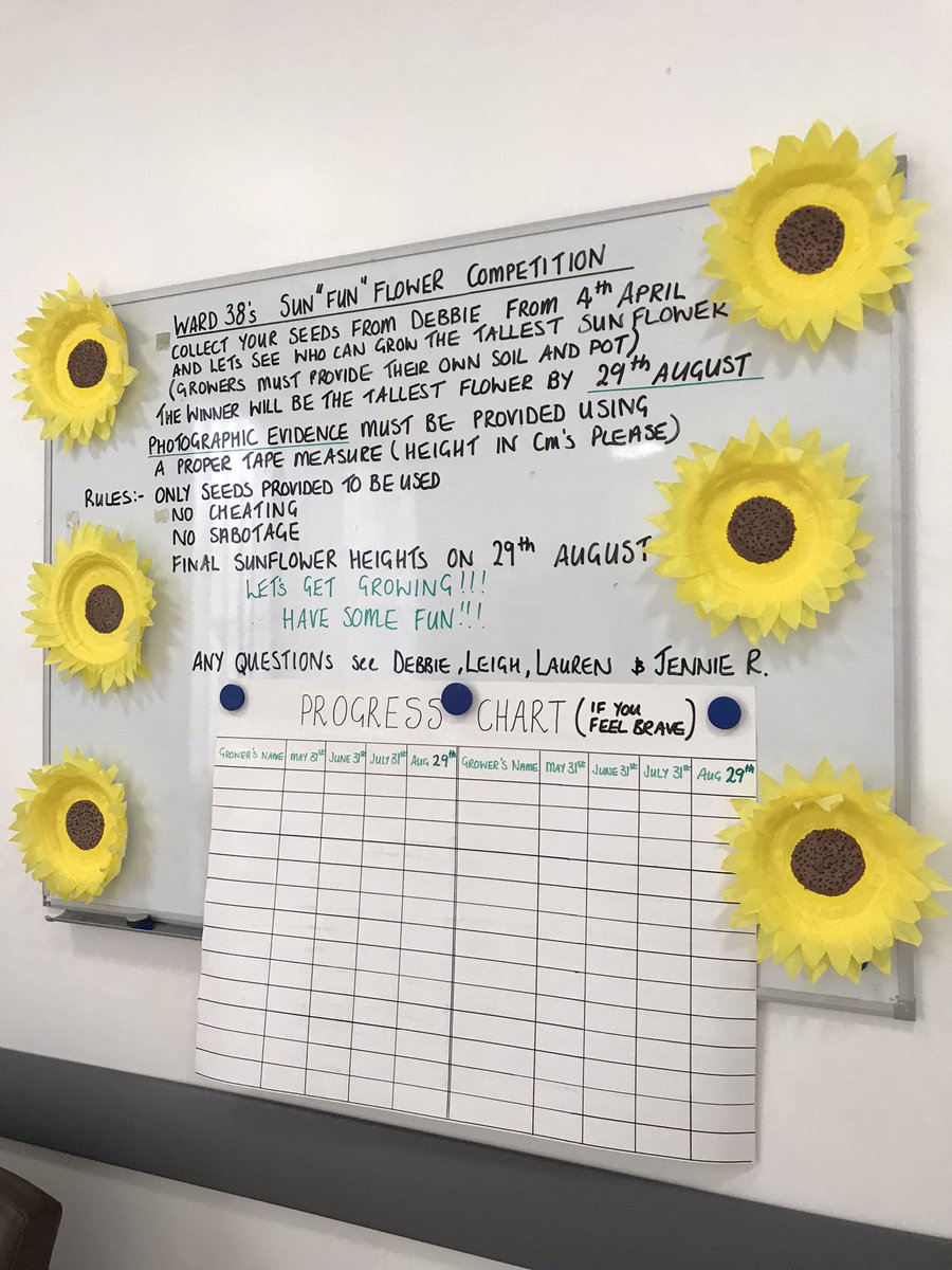 ward38_freeman's tweet photo. Ward sunflower competition starting Easter Sunday! Board beautifully decorated by Sister Debs who made all the sunflowers herself! ❤️ 🌹 https://t.co/ir6tEeyUxF
