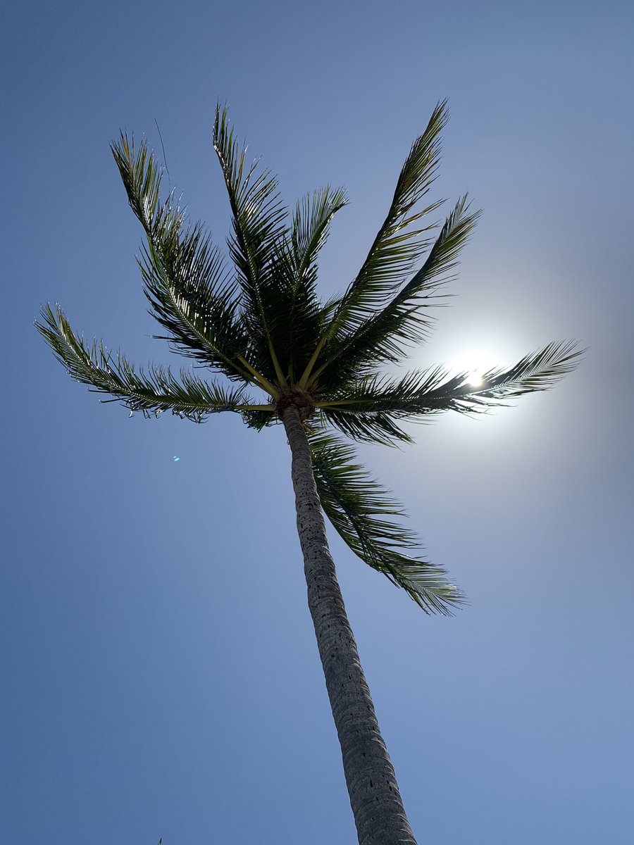 I woke up 40 in the Florida Keys!

🌴🥳🌴