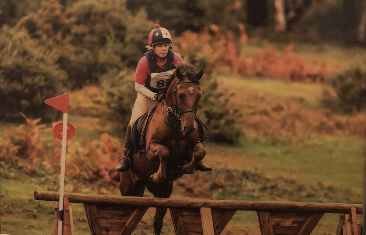 ℹ️ New Forest ponies can be found in counties such as Australia, Finland, Sweden, &amp; France to name but a few they compete in all types of disciplines visit the New Forest Pony Breeding &amp; Cattle Society bit.ly/3rnN9sj to read some lovely stories of ponies near and far🐴