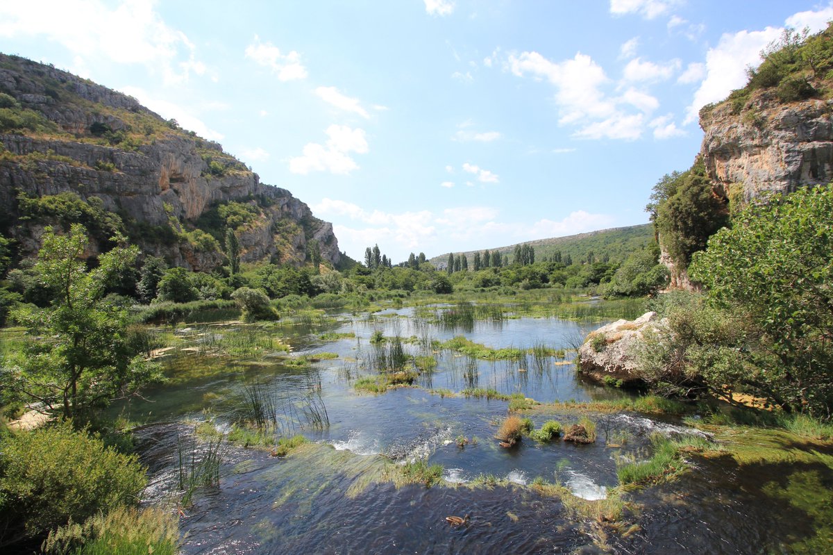 afewmilesmore's tweet photo. Can’t have a #Top4Outside week without a Croatia special edition, so this is just in time for this week's #Top4Theme (new theme tomorrow), hosted by @CharlesMcCool, @Giselleinmotion, @perthtravelers, and @Touchse.
↖ & ↗ Plitvice Lakes NP
↙ & ↘ Krka River NP https://t.co/H6RQOHbml5