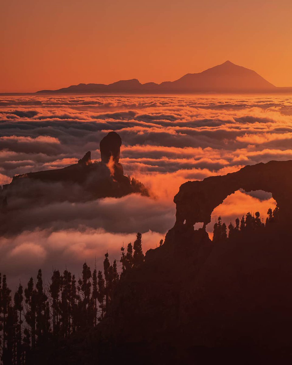 7IslasCanarias's tweet photo. 𝗗𝗼𝘀 𝗶𝘀𝗹𝗮𝘀 𝘀𝗲𝗽𝗮𝗿𝗮𝗱𝗮𝘀 𝗽𝗼𝗿 𝗲𝗹 𝗺𝗮𝗿 𝘆 𝗮 𝗹𝗮 𝘃𝗲𝘇 𝘂𝗻𝗶𝗱𝗮𝘀 🤍💙💛

En este día de derbi hay que resaltar las bonitas vistas que hay desde la zona de Tejeda, #GranCanaria, hacia el Roque Nublo y a #Tenerife.

📸 reyskope 

#Canarias #IslasCanarias https://t.co/fAvIuyAyoi