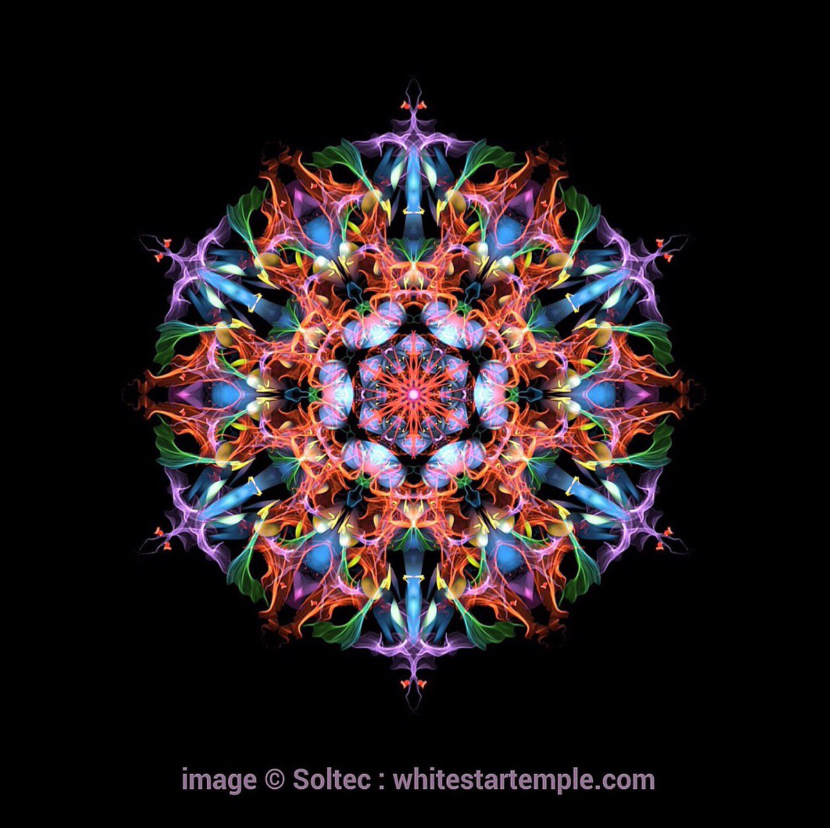 WhiteStarTemple's tweet photo. It is one of the greatest aspects of Creation that everything is infinitely divisible, yet remains undivided - MAITREYA 

#spiritual #mandala #existence #creation #channeling https://t.co/76ccGCRx5O