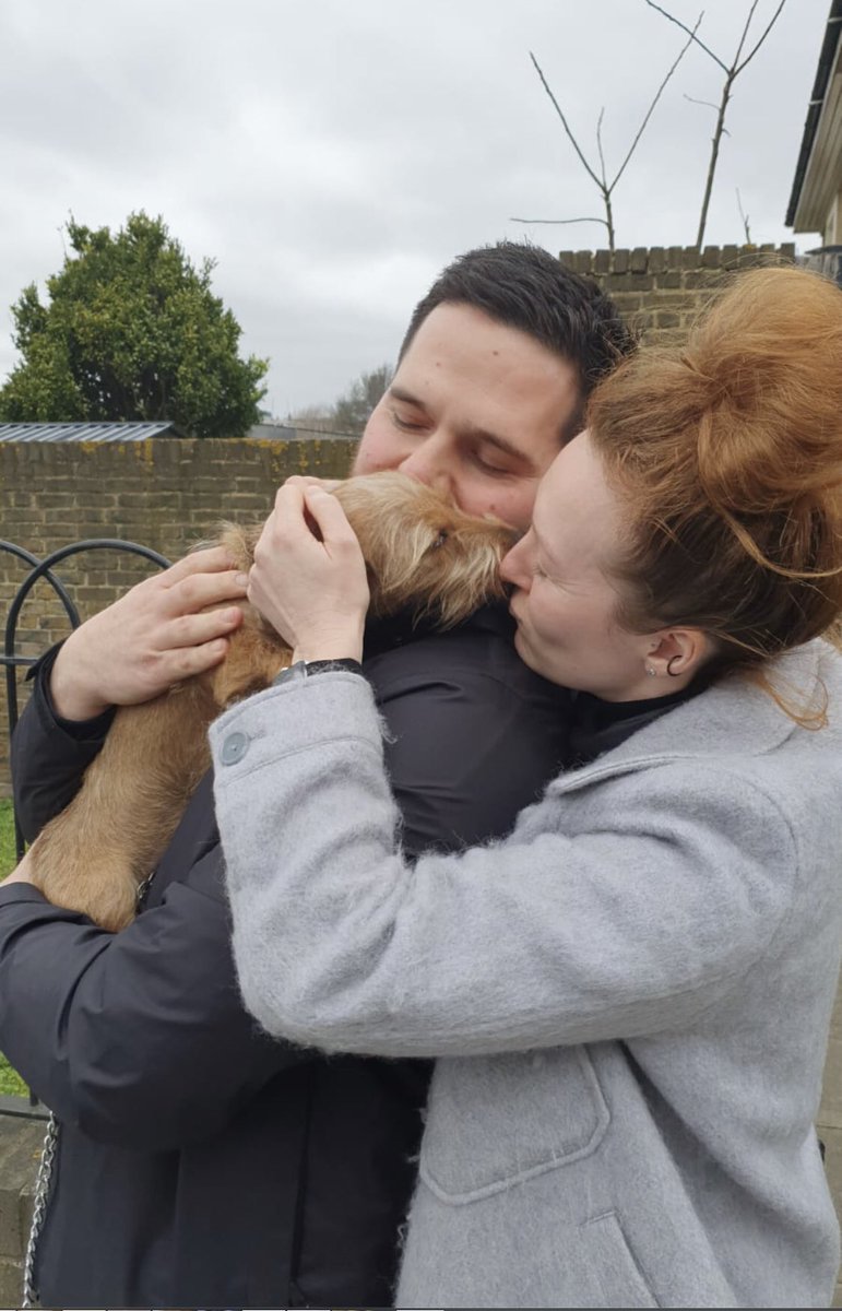 ⭐️OLIVE IS BACK ⭐️
Thank you everyone for your fantastic support. This would never have happened without you.