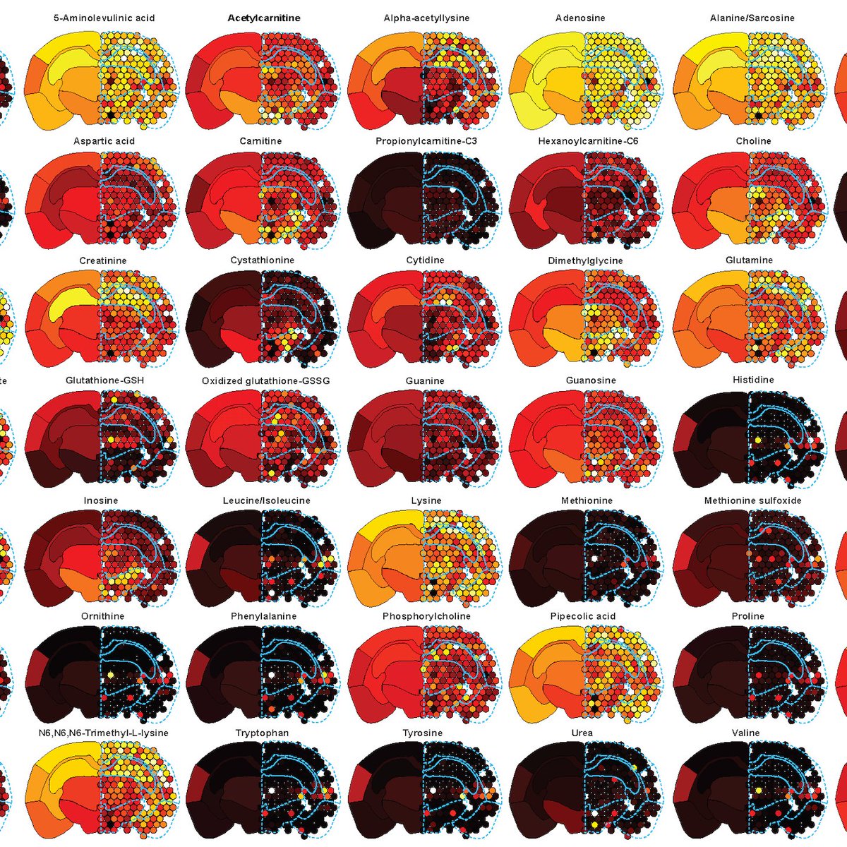 Woo-ping Ge Lab tweet media