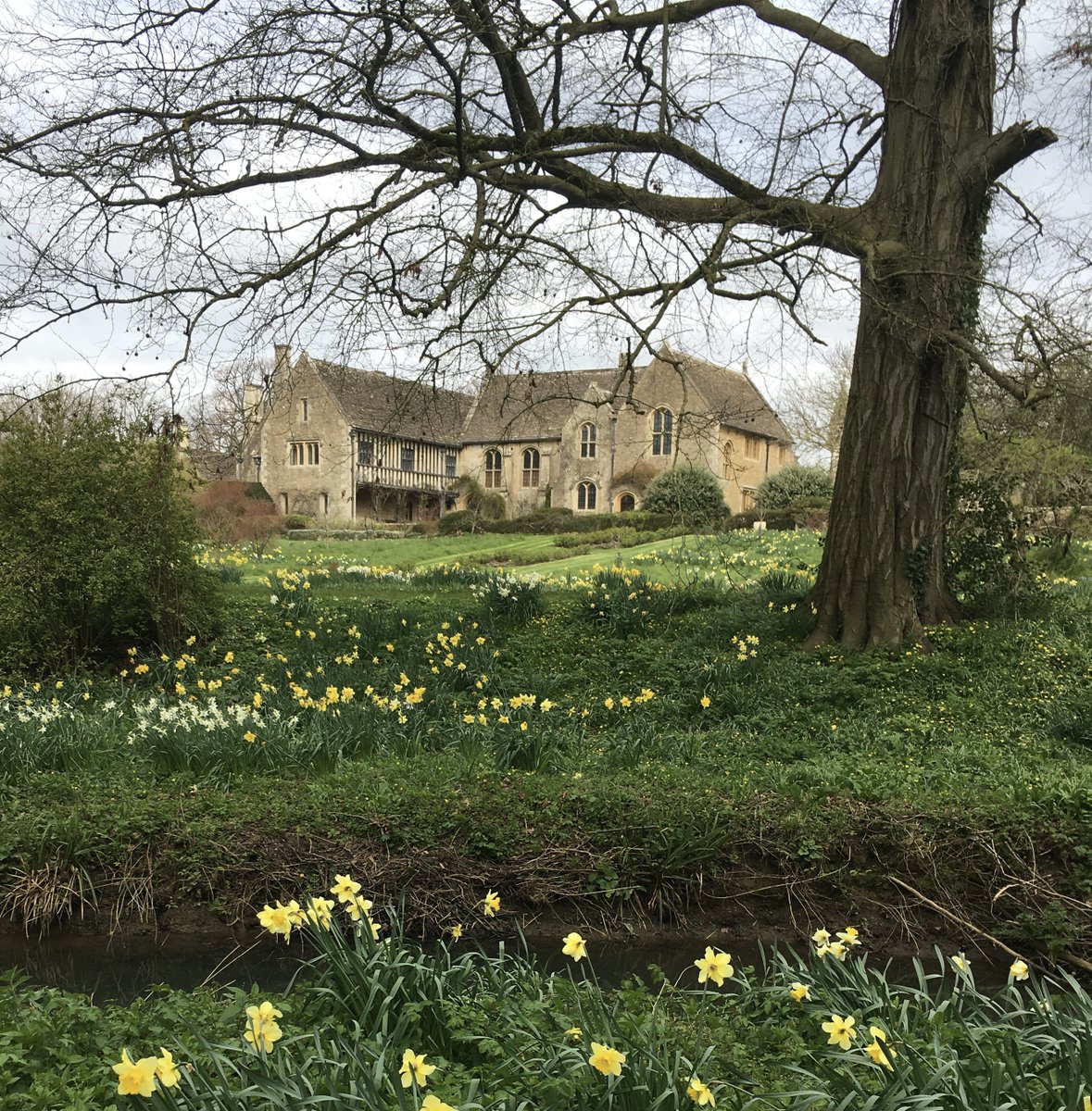 We are openng the garden here at Great Chalfield on Easter sunday at 1pm.  Please book with the National Trust to come and enjoy