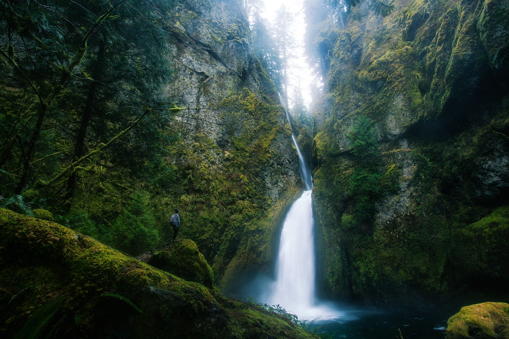 cascade_west's tweet photo. There's so much to love about living in the Pacific Northwest #pnw 💙🌲🏕️🏞️ 🌲💙
.
The Columbia River Gorge Has More Waterfalls Than Anywhere Else In The Country 🙌 Learn More : https://t.co/yoGVBoAlFU
Photo by Michael Matti 📸 https://t.co/rvZe3pw1iq