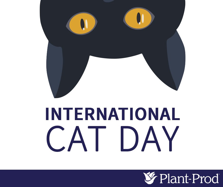 RT @ProdPlant: Today’s the day to celebrate you and your feline bestie! Happy International Respect your Cat Day. https://t.co/ENiEGlNizj
