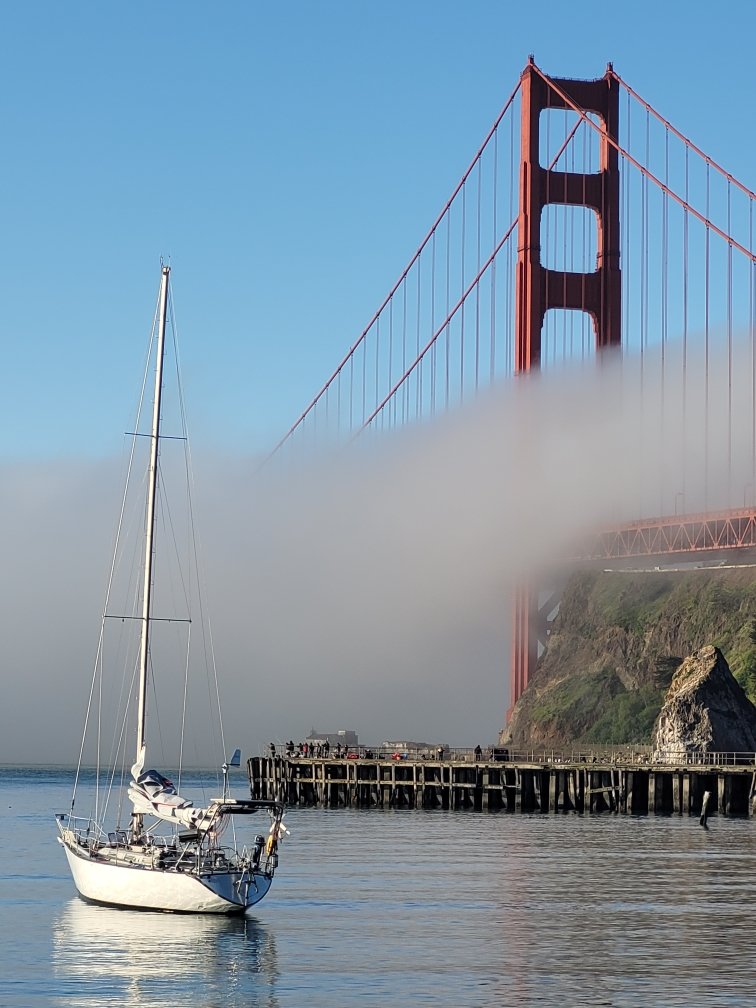 A perfect morning in San Francisco like today's should never be disturbed by a diesel engine #electricsailboat #ggb #SanFrancisco