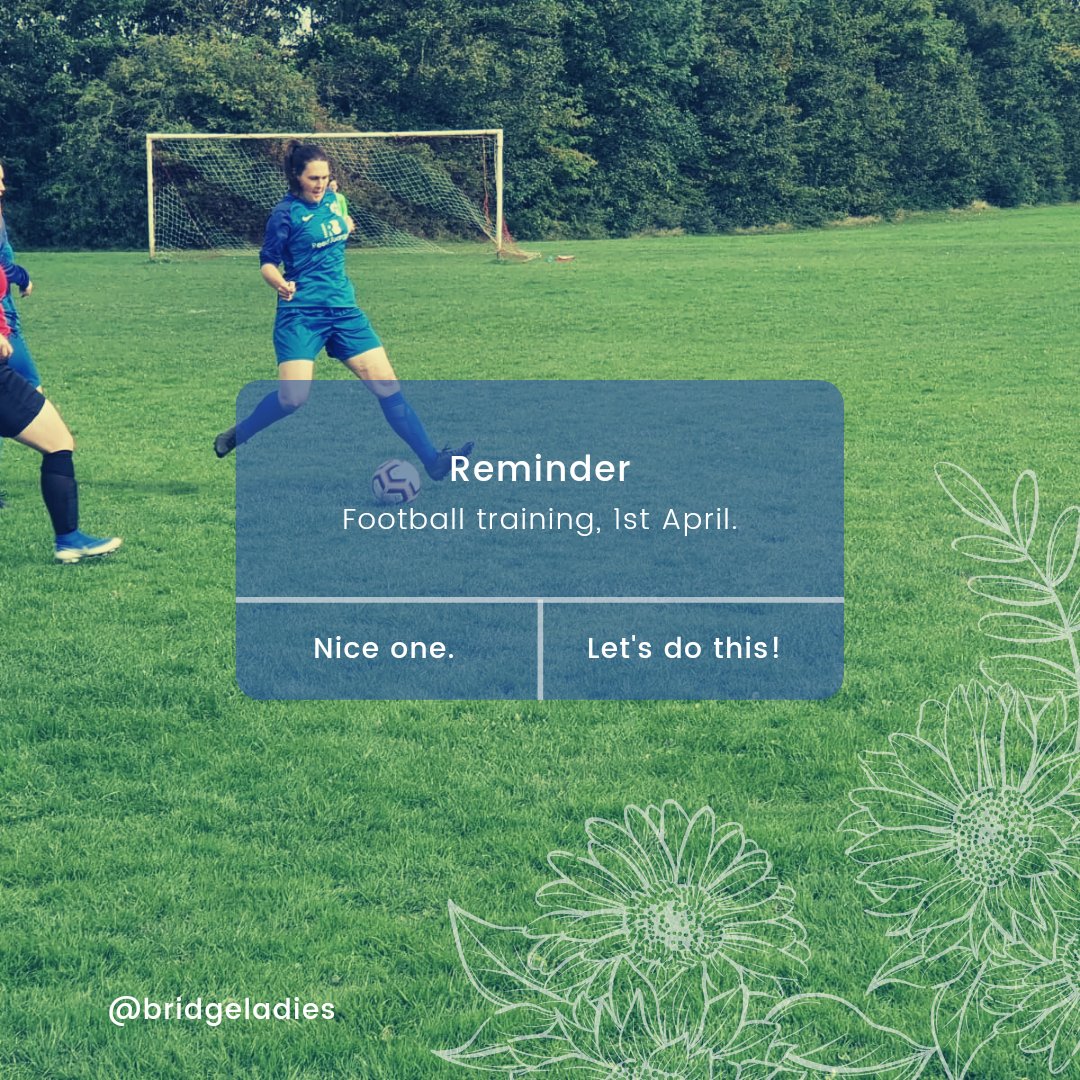 Boroughbridge AFC Ladies tweet media