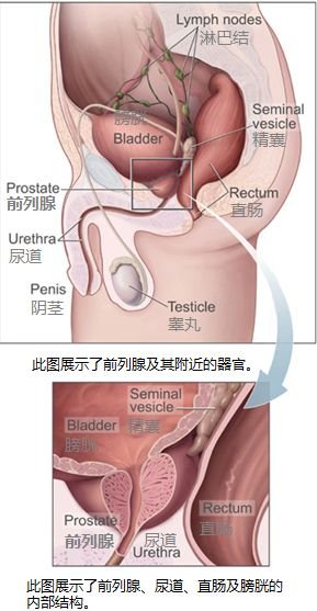 shmstttya_'s tweet photo. 如何进行女攻男受的做爱，是针对上一篇的补充。
有关前列腺的位置，用手指和道具刺激前列腺的方式，扩肛，插入，刺激阴茎，提肛运动。
注：正文部分主要来源维基百科，医学类研究还有一些相关书籍，基本可以保证其准确性。【】内的内容是我本人写的，可能具有一定主观性。 https://t.co/iN7BpJnj7z