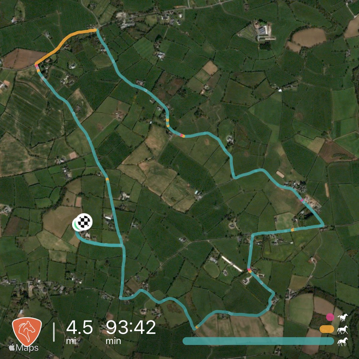 carol199's tweet photo. Today’s ride 🤗 #Roxy #GoodGirl #SundayHacks #Hillsborough https://t.co/Bq7sHWxwTf