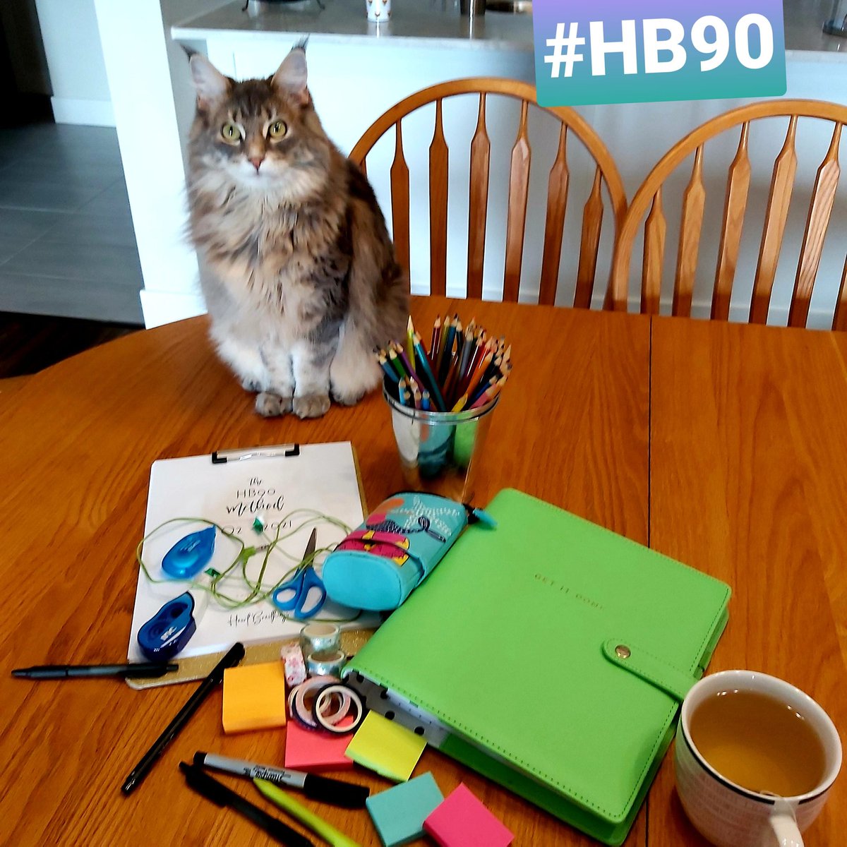MelissaPAuthor's tweet photo. Getting the planning done. Ziggy pretending he won't grab my washing tape the second I look away.
#planner #hb90method #writerslife #CatsOfTwitter #mainecoon https://t.co/BfdCU68WTA